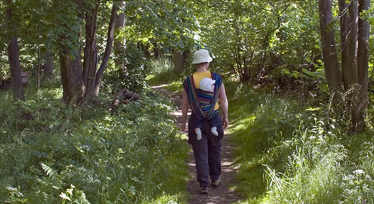 På vandring i Linnebjer.