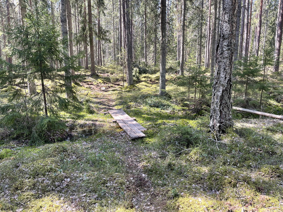 Tre brädor bred spång över dike.
