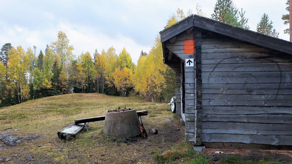 Vindskydd högst upp i skidbacken, Furuberet Los