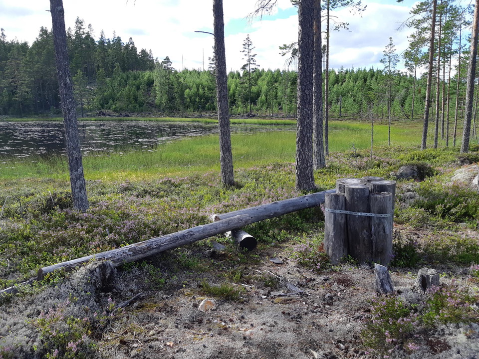 Kotjärn