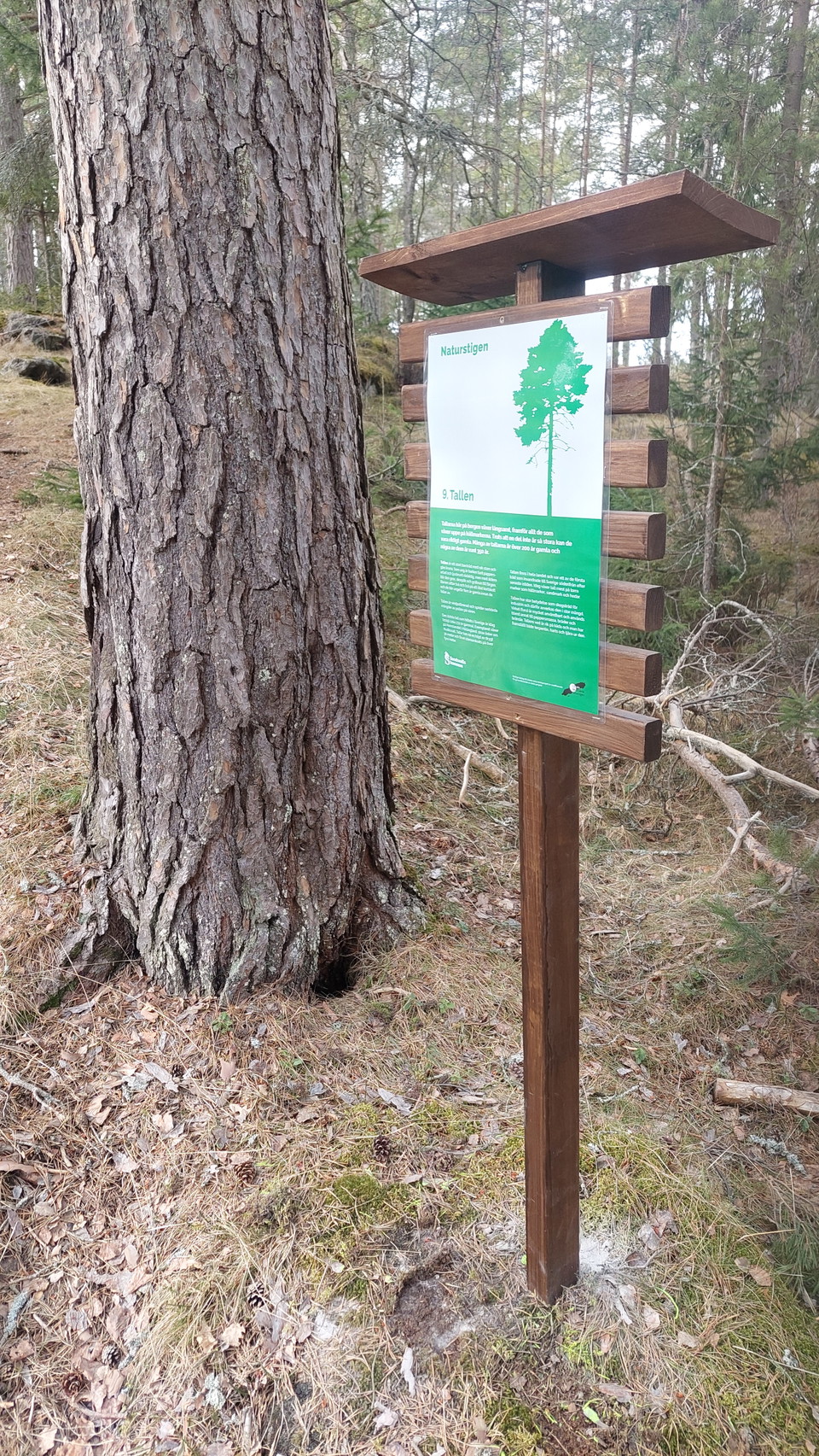 Informationstavla om tall