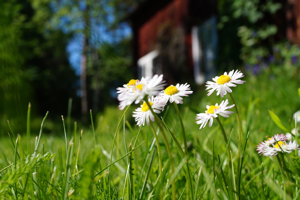 Foto: Katharina Svensson Vikström