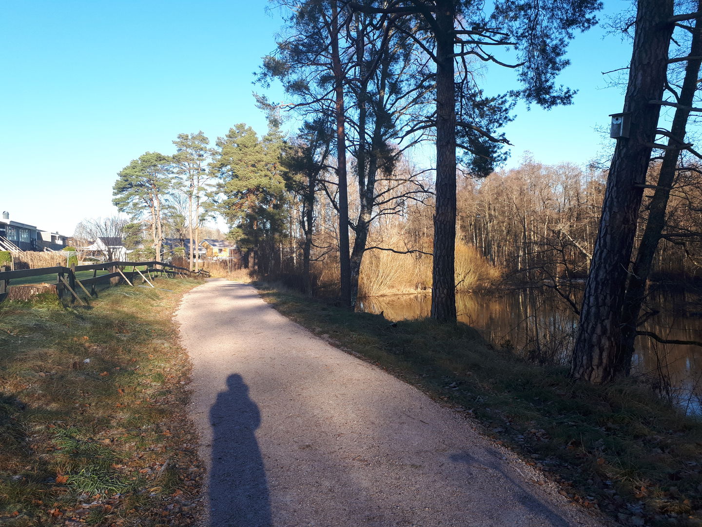 Ett gångstråk längs vatten i solsken.