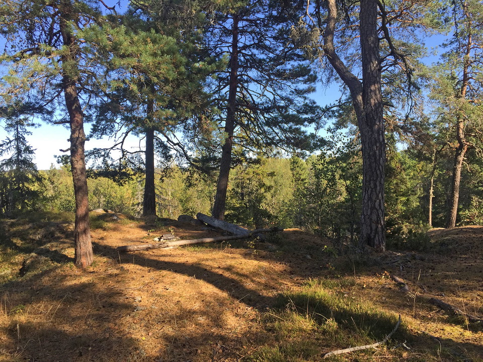 Solig glänta kantad av barrträd. På marken en enkel eldstad och två kullfallna stockar.