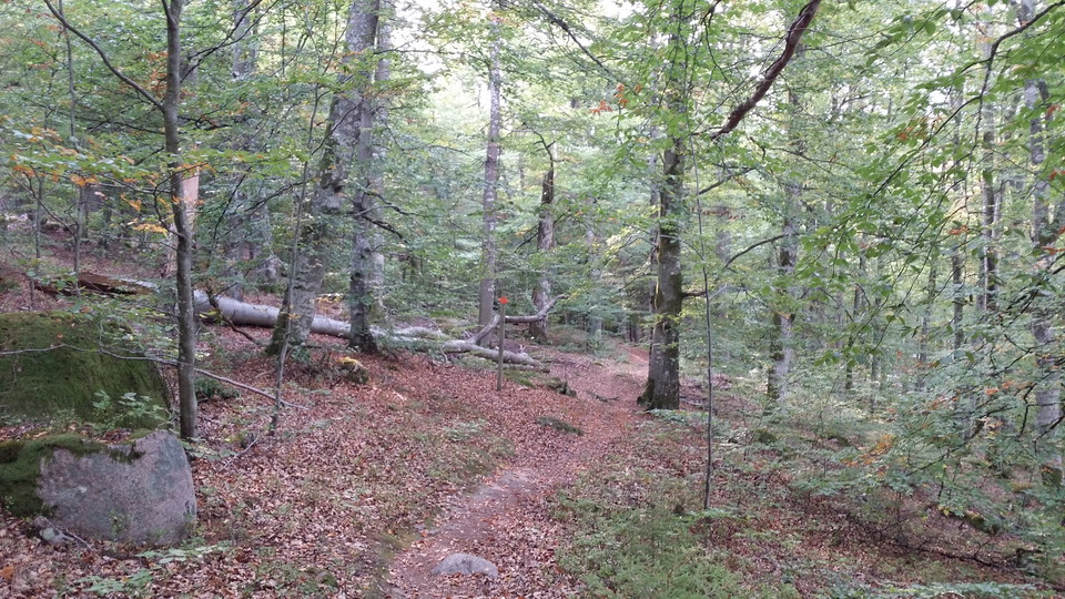 Skråhallabergen