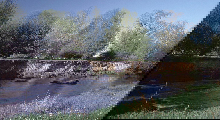 Fotograf: Tomas Järnetun