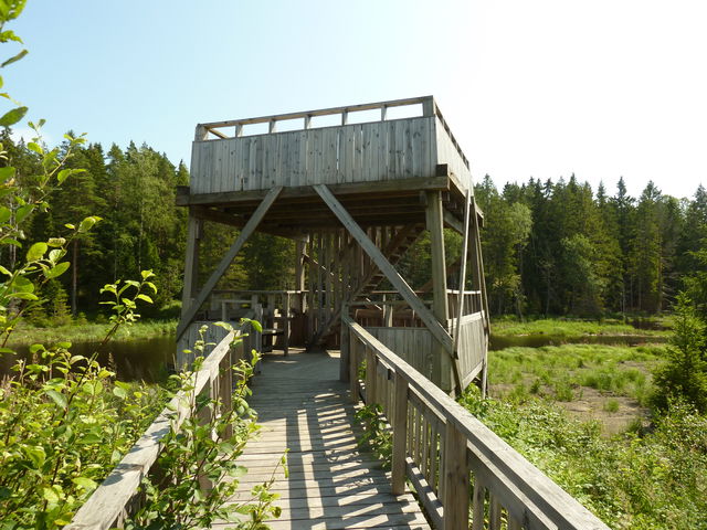 Skutans fågeltorn