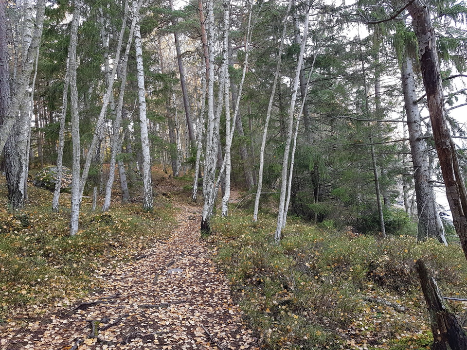Stig mot Rävviken. Foto Lidingö stad.