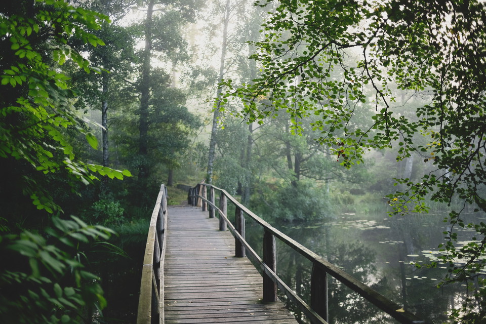 Duveholmssjön, foto josefine karlsson