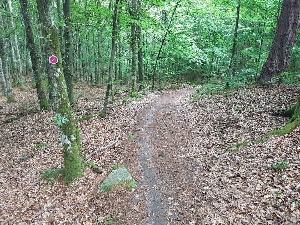 Foto: Daniel Ottosson