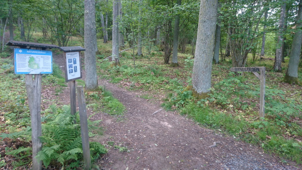 Starten bakom Ekhagens IF