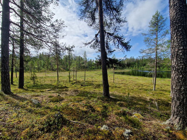 Skålliden