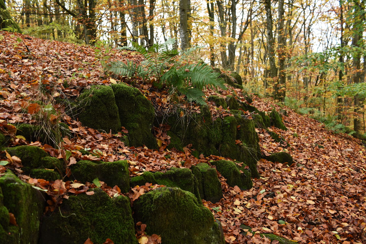 Vulkanen Jällabjär