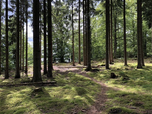 Walking trail, Hökhult