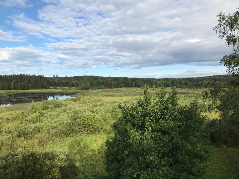 Utsikt över sjö, våtmark och skog