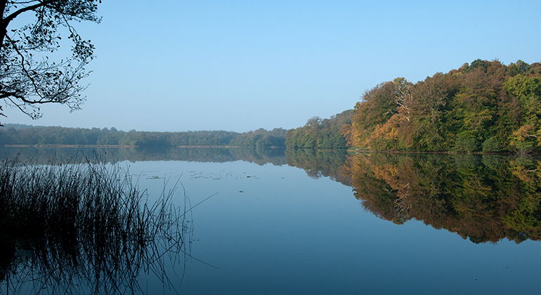 Häckebergasjön.