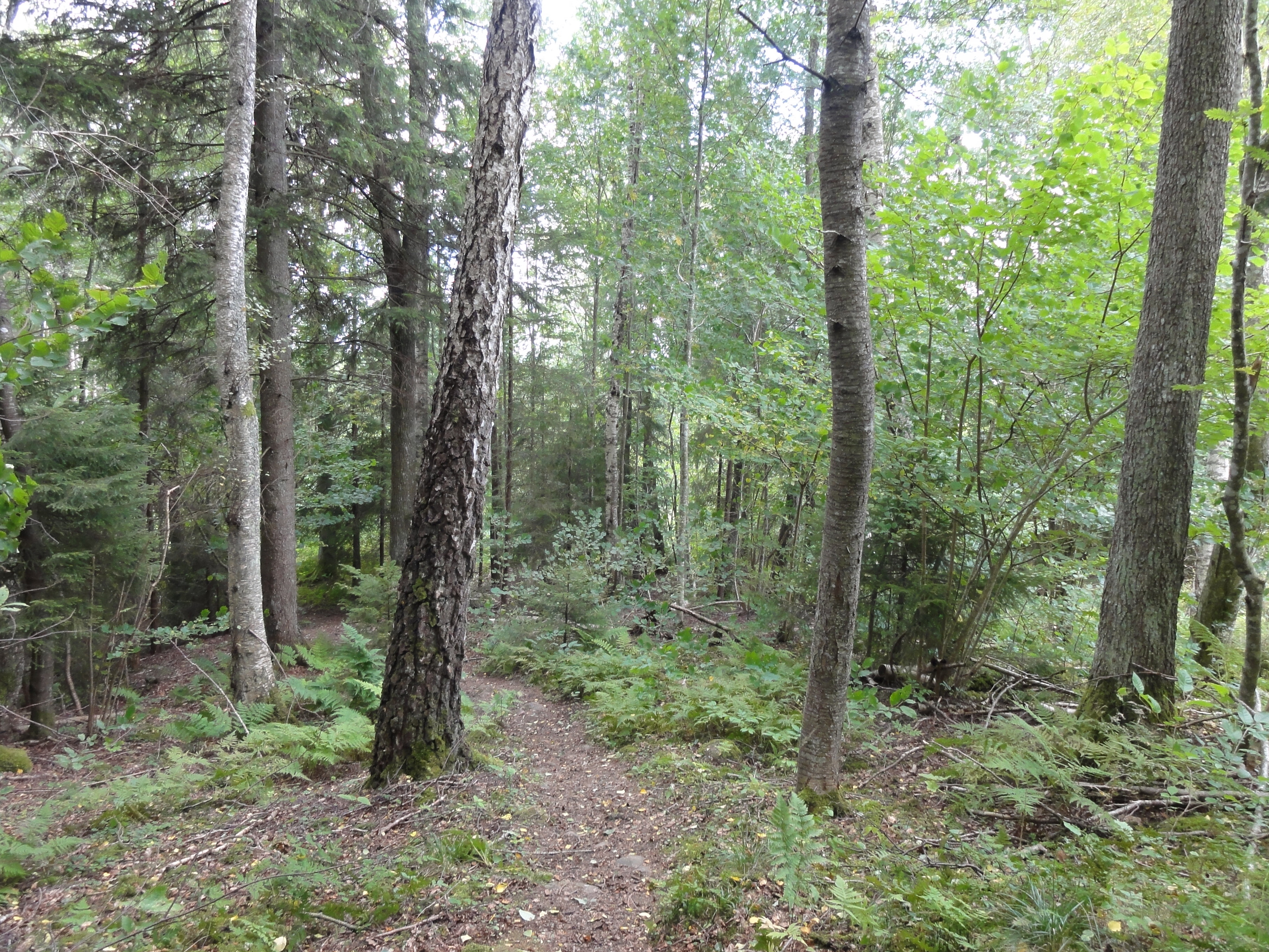 Övralid runt, Östgötaleden