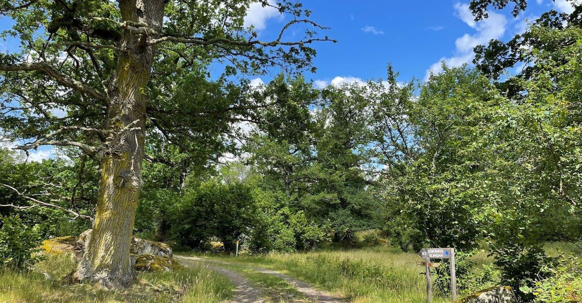 Sörängslingan
Etapp: Vårdnäs - Hovetorp
Linköping