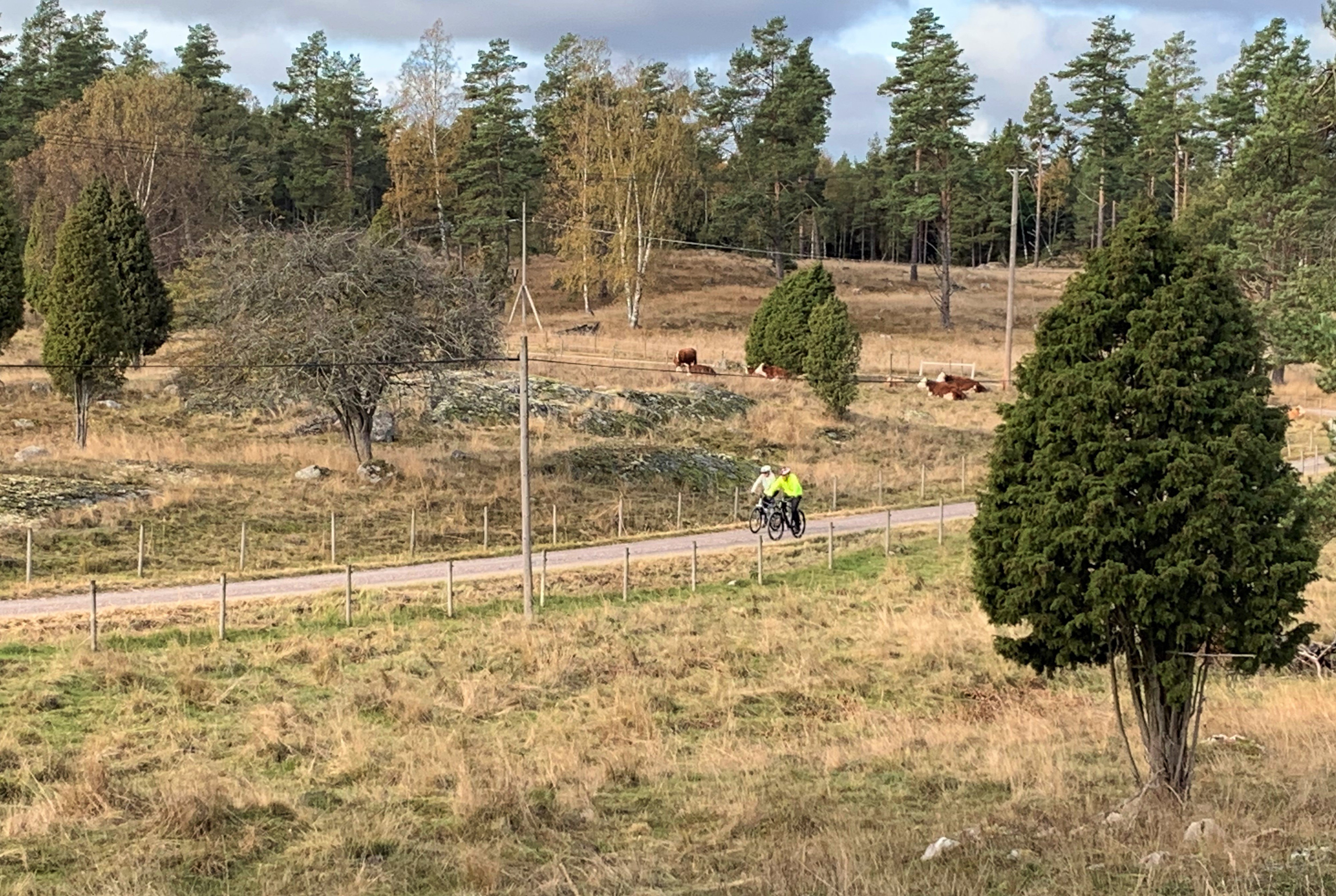 Cyklister i Sundby naturreservat, Ornö. 