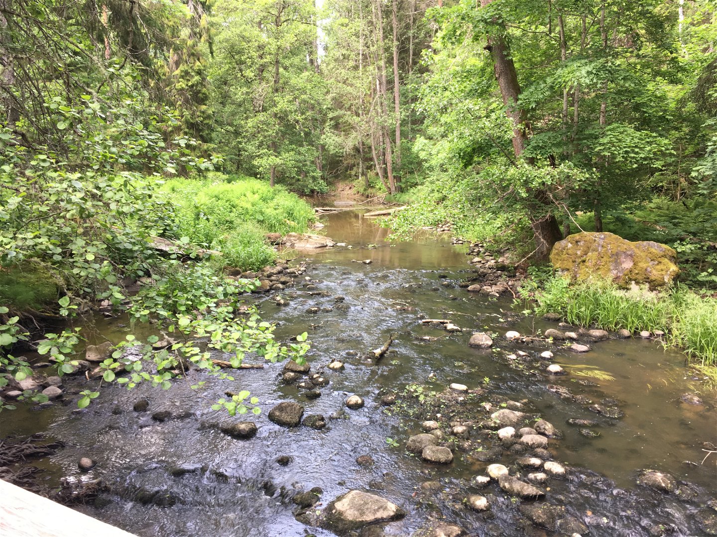 En å rinner genom en lummig dal. I ån finns många stenar av olika storlekar.