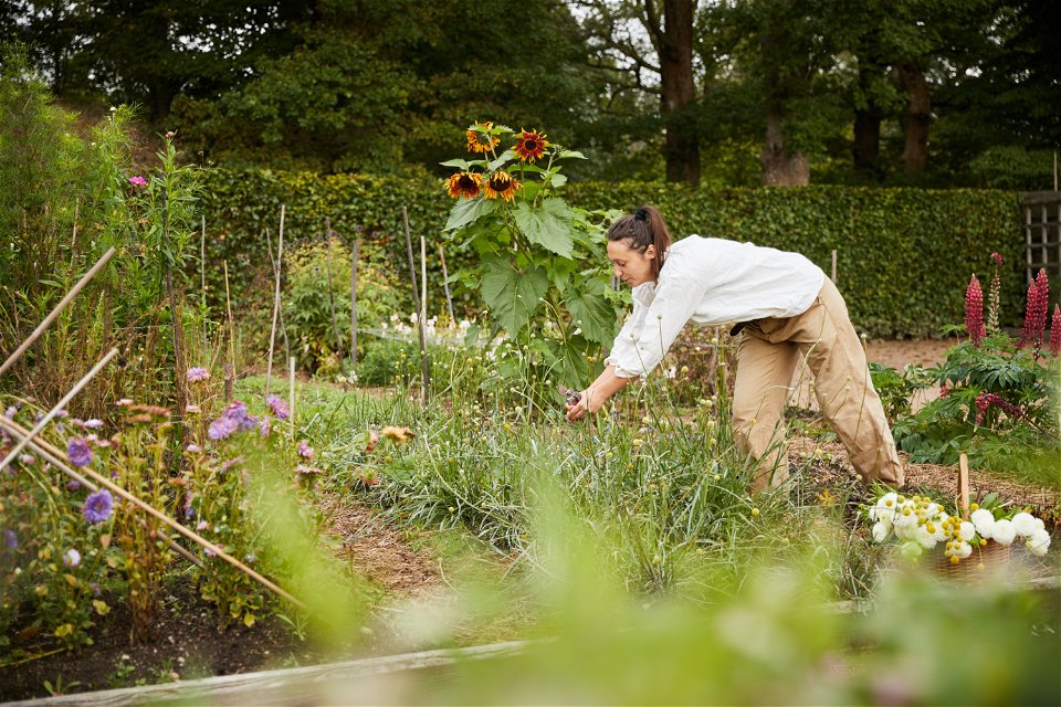 En kvinna arbetar i en trädgård