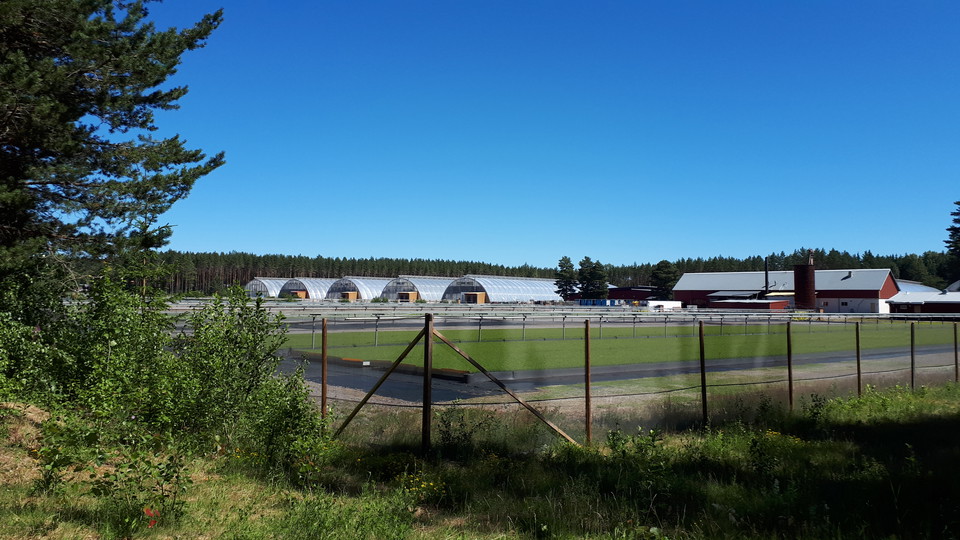 Plantskolan Grangärde