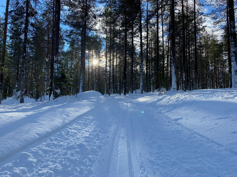 The xc-trails goes through cozy forest