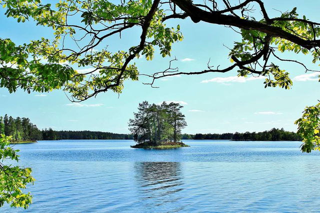 Allgunnens naturreservat