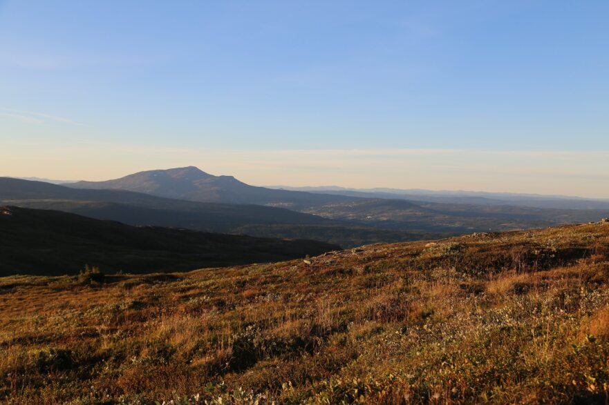 En höstig fjällsida där du ser utsikt mot ett annat fjäll i bakgrunden