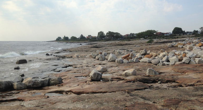 Sten längs strandlinjen.