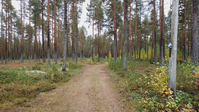Kårböle elljusspår