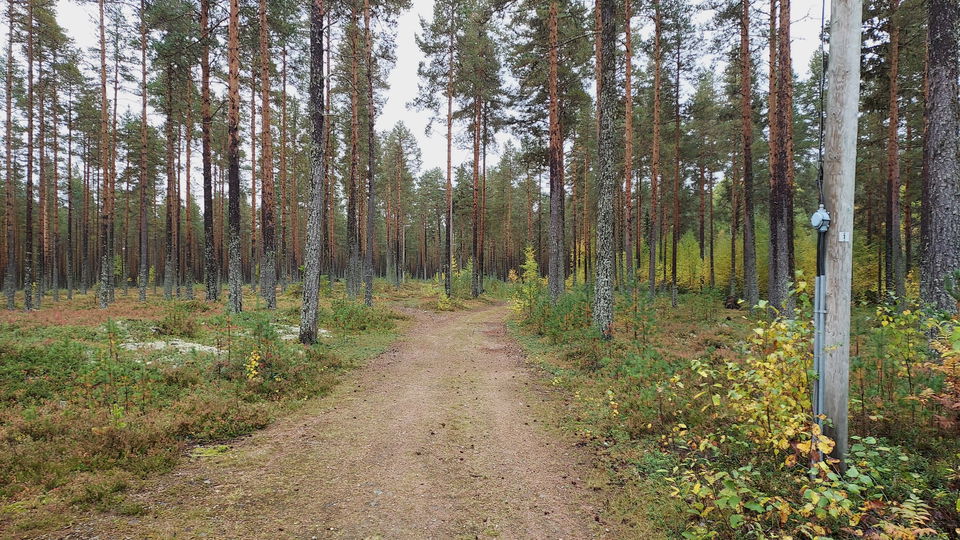 Kårböle Elljusspår