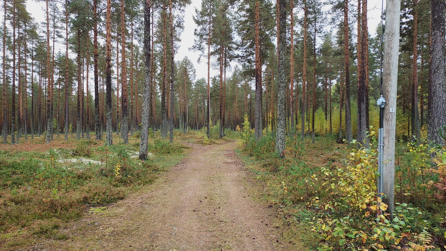 Kårböle Elljusspår