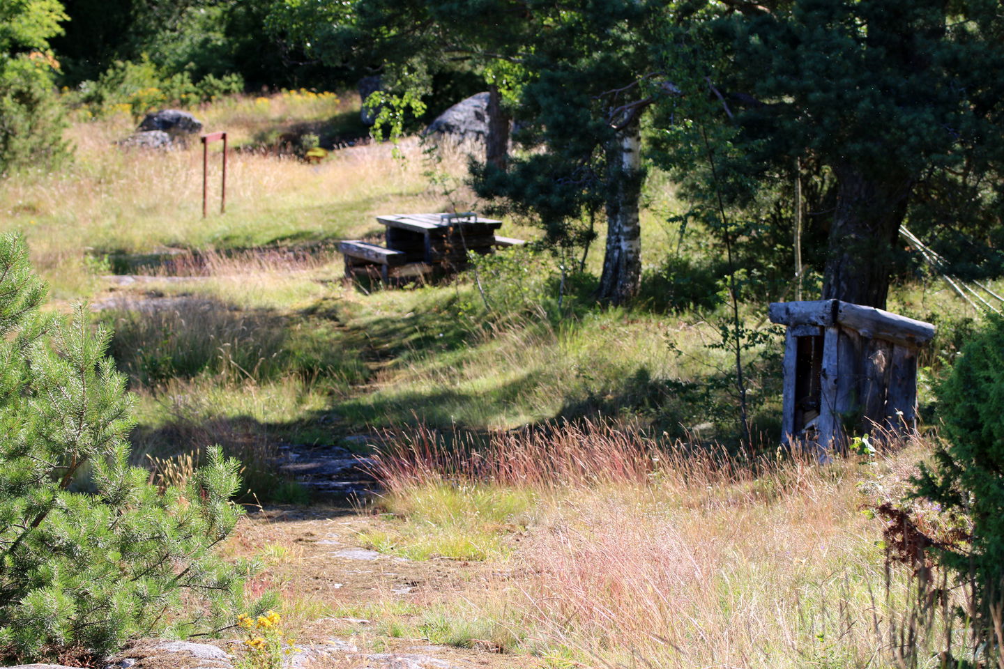 Rastplats med grill, bord och bänkar.