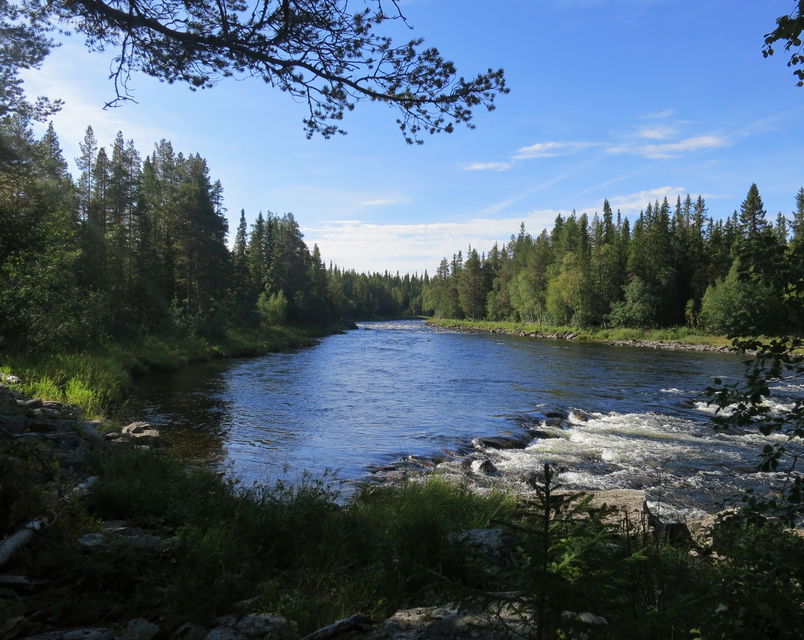 Älv med forsande vatten