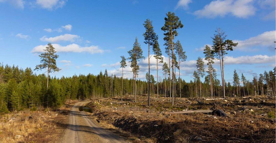 Leden går mestadels på grusväg
Etapp: Rejmyre-Regna och Regna-Älgsjön. 
Finspång