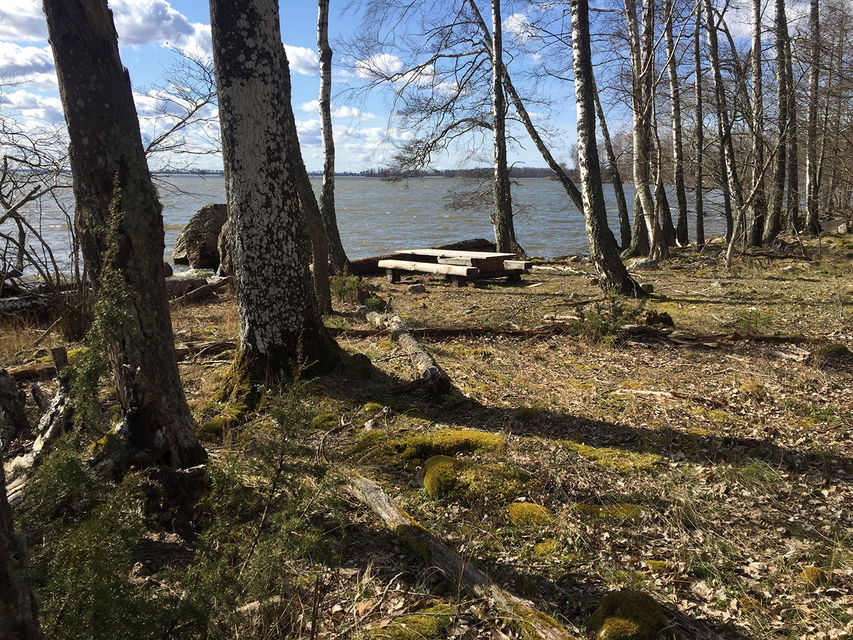 Träbord och träbänkar vid strandkant.