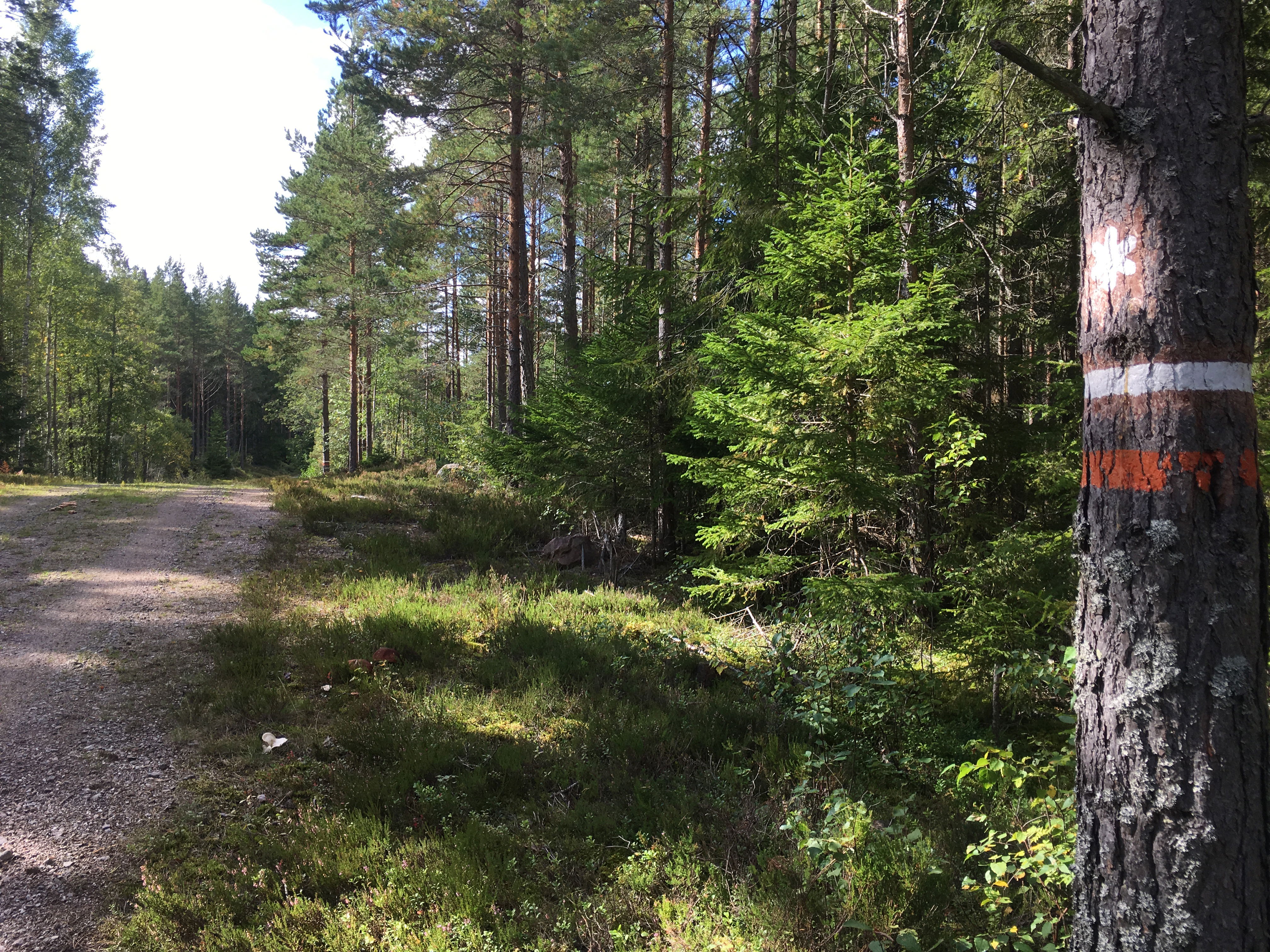 Södra slingan