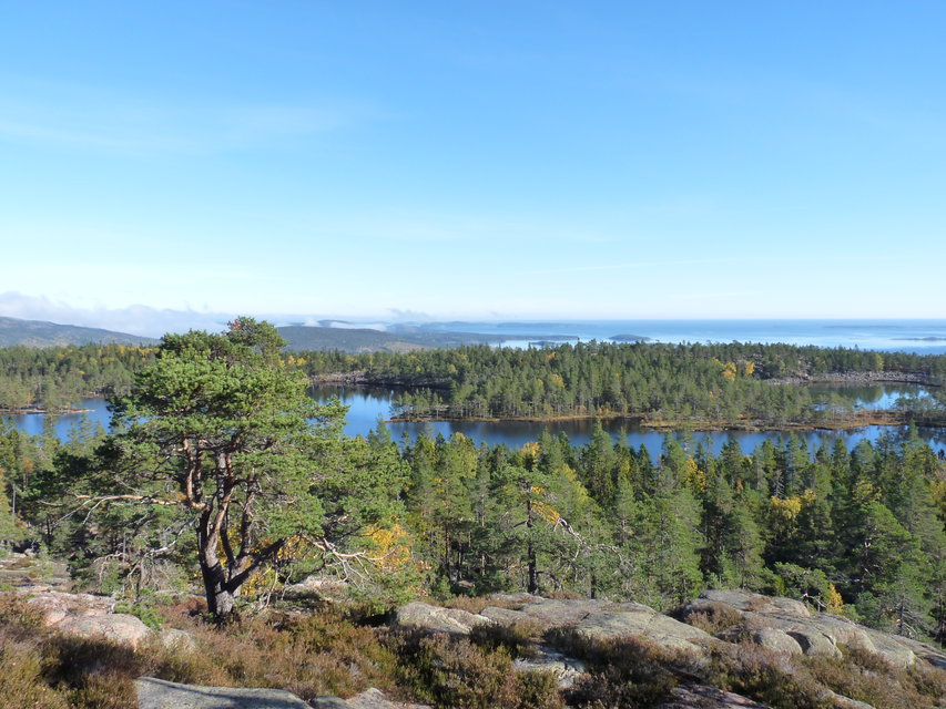 Utsikt ner mot Tärnättvattnet. Foto: Johan Uebel, Länsstyrelsen