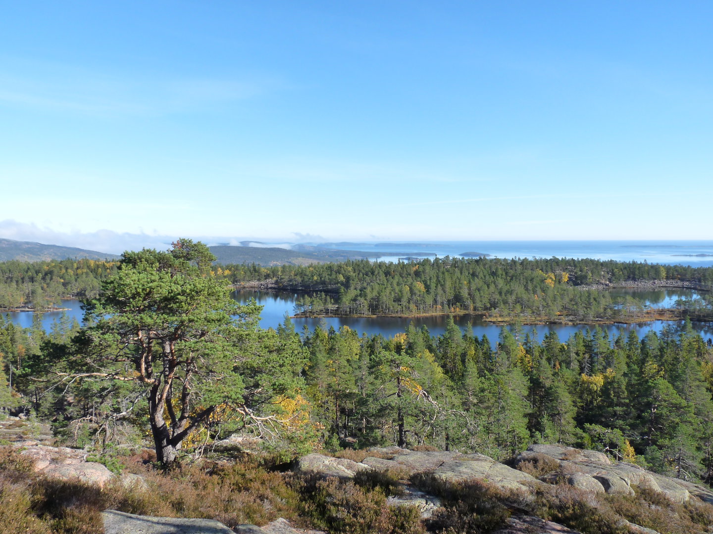 Utsikt ner mot Tärnättvattnet. Foto: Johan Uebel, Länsstyrelsen