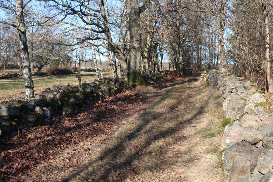 vackra miljöer i Slättanäs