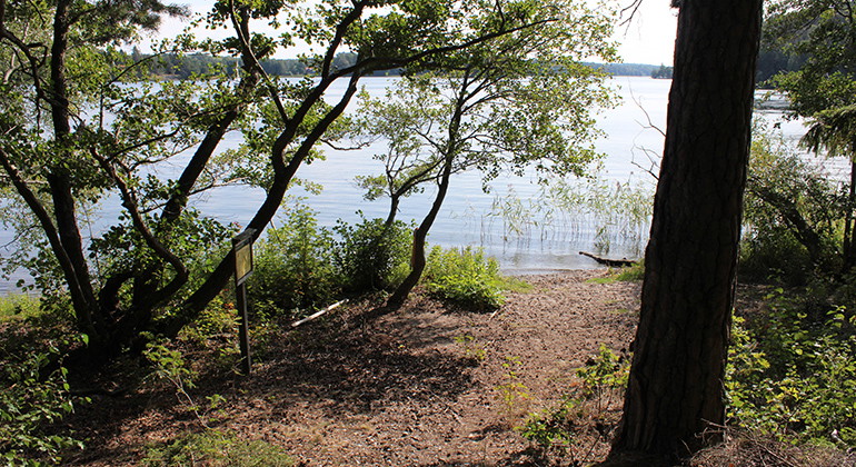 Utsikt mot Mälaren i Husby naturreservat. 