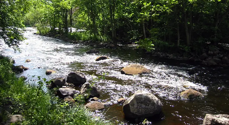 Forssträcka i Mörrumsån.