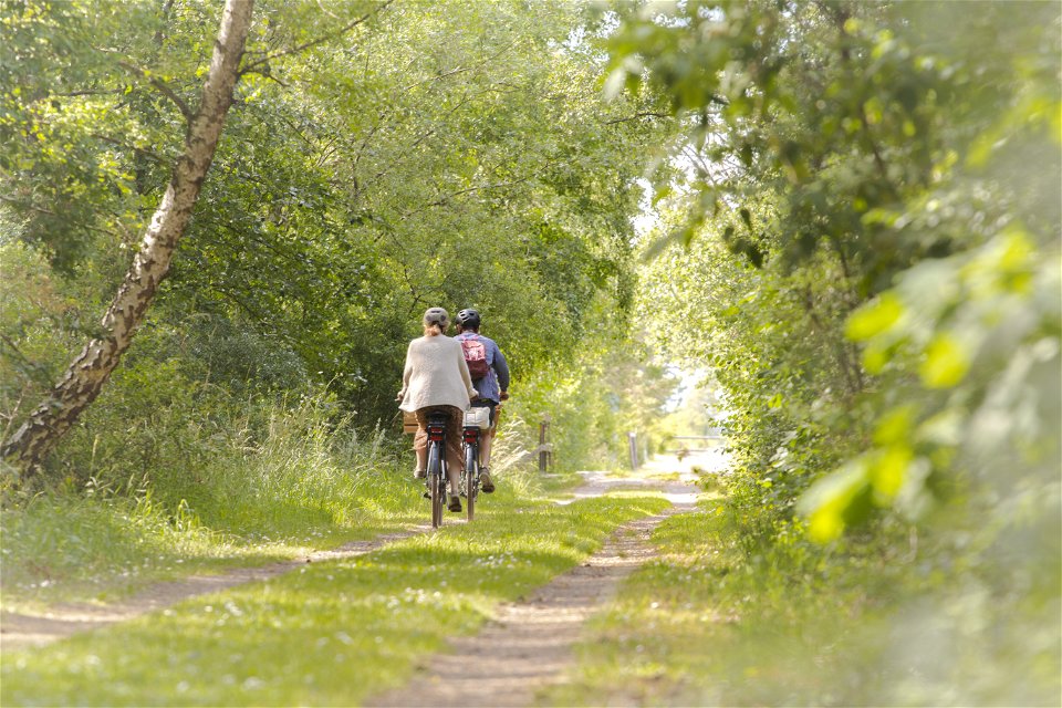 cyklande besökare genom sommargrönska