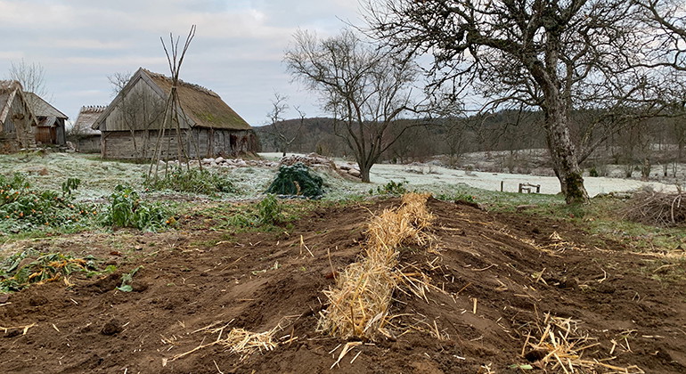 odling i Äskhult