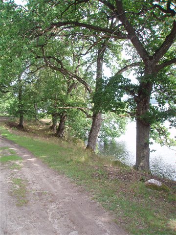 walking trails in Sjöbo- Knäppan nature reserve