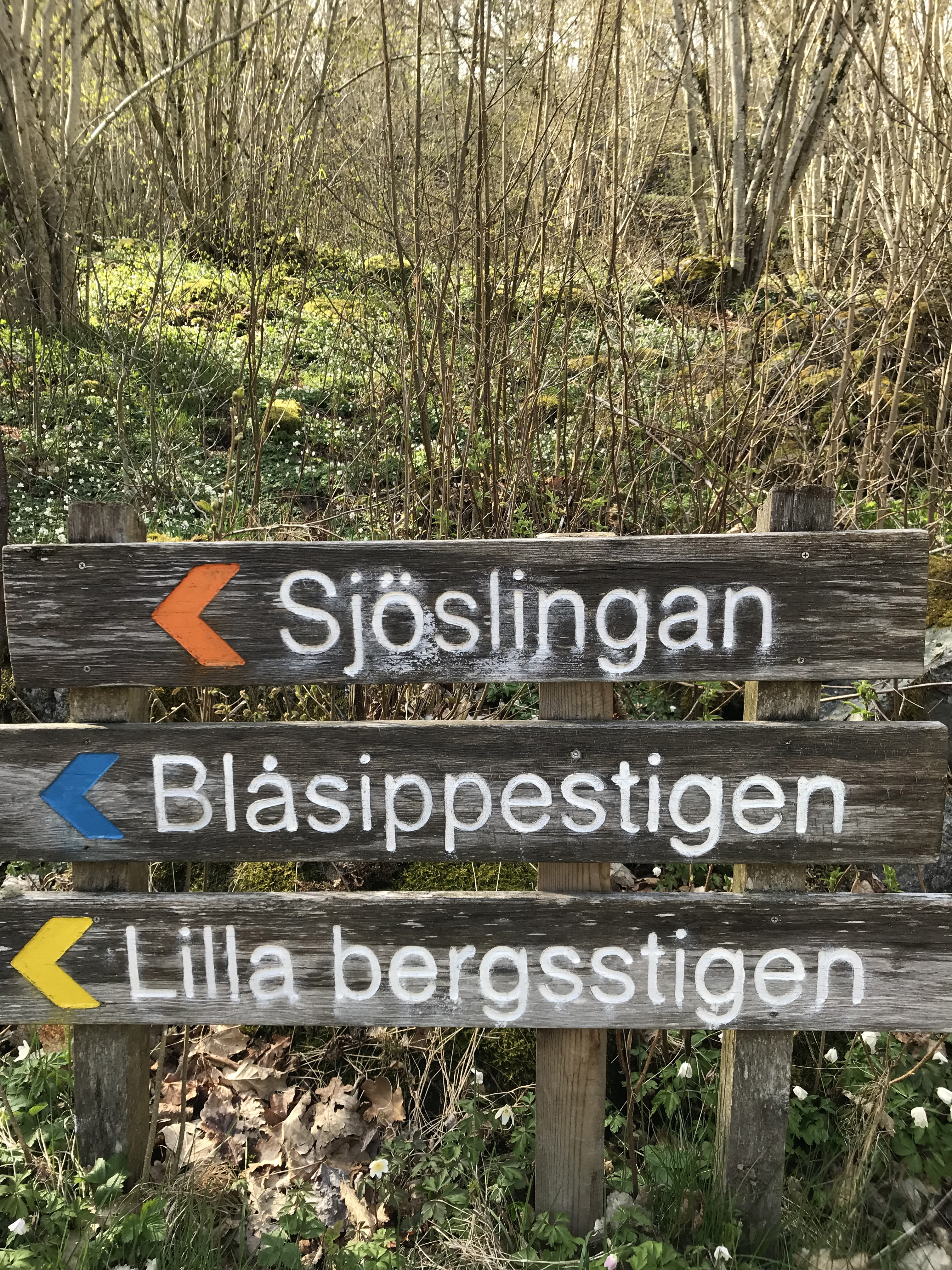 Lilla bergstigen (Längd: 1,6 kilometer) Ramsåshuvud