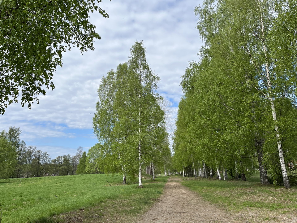Längs med leden Gamla banvallen