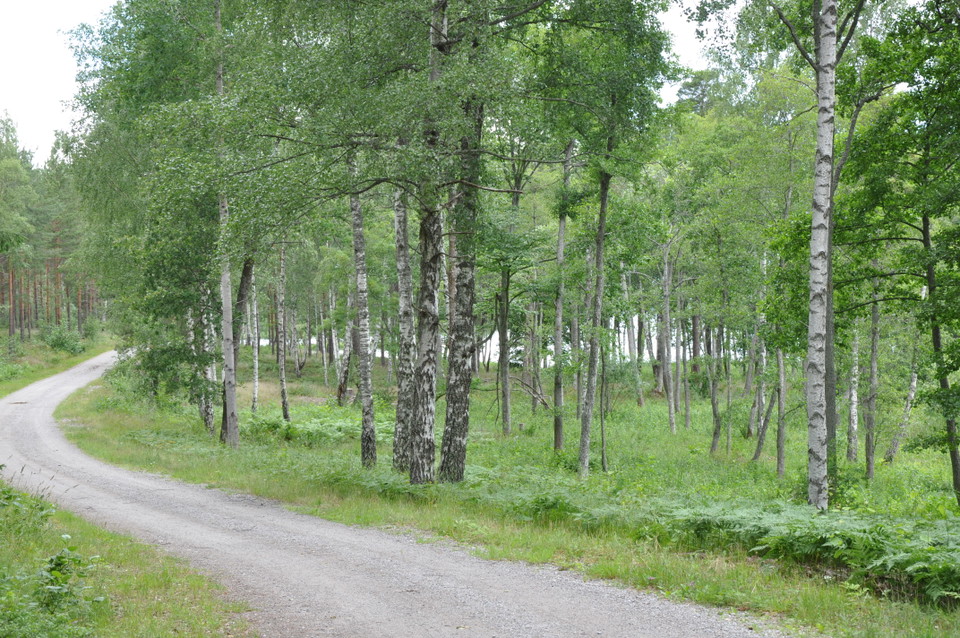 Nordligaste delen av vadringsleden