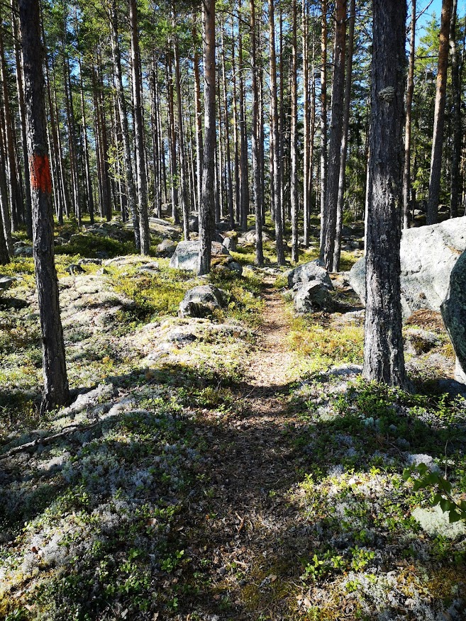 Foto: Åsa Eriksson
